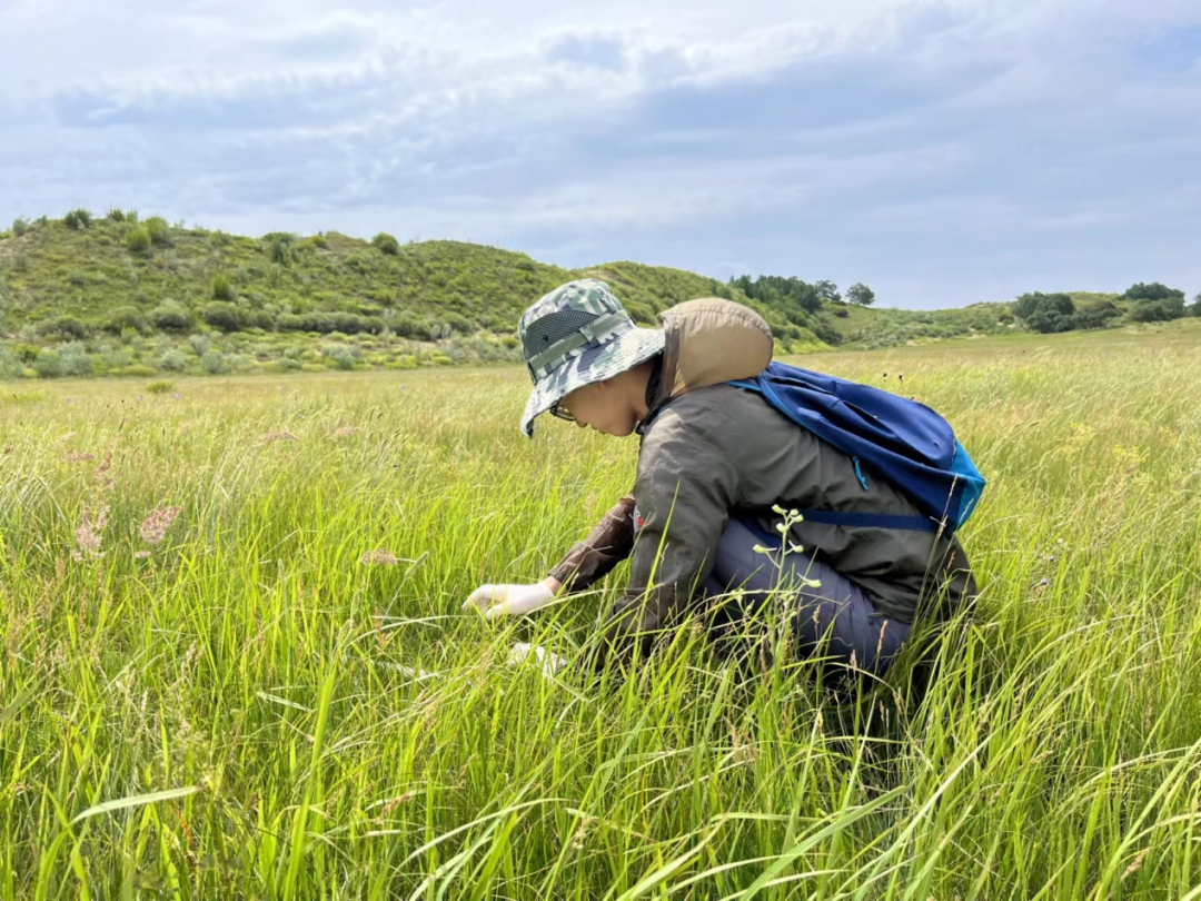 07be3ae5d79247e1bbfbcbb8e69becb2.png 07be3ae5d79247e1bbfbcbb8e69becb2.png