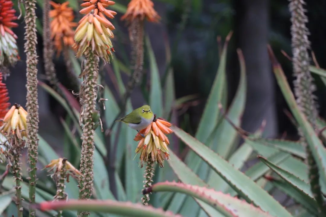 5f58e621aaab468d8a1df47d9355466d.jpg 9.jpg