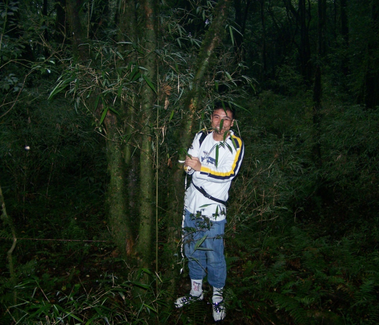 3f43c16d5e9d4d18952473f849c3ff0b.png 2.png